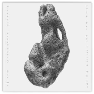 Fan Wu | touch the Ten Thousand Things without dependency