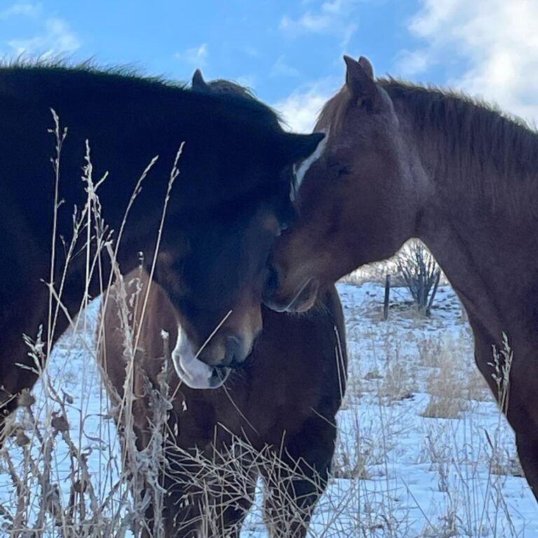 Instagram post from secondspring.online. This post is in position 3.